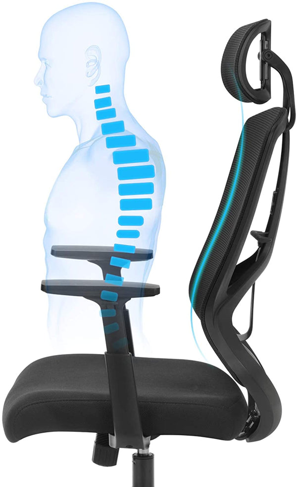 Ergonomic Office and Desk Chair with Lumbar RAW58.dk