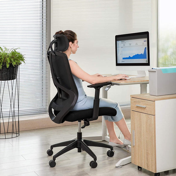 Ergonomic Office and Desk Chair with Lumbar RAW58.dk
