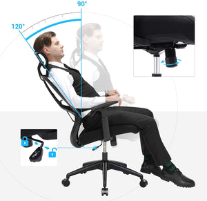 Ergonomic Office and Desk Chair with Lumbar RAW58.dk