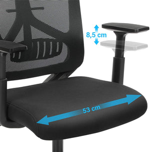 Ergonomic Office and Desk Chair with Lumbar RAW58.dk