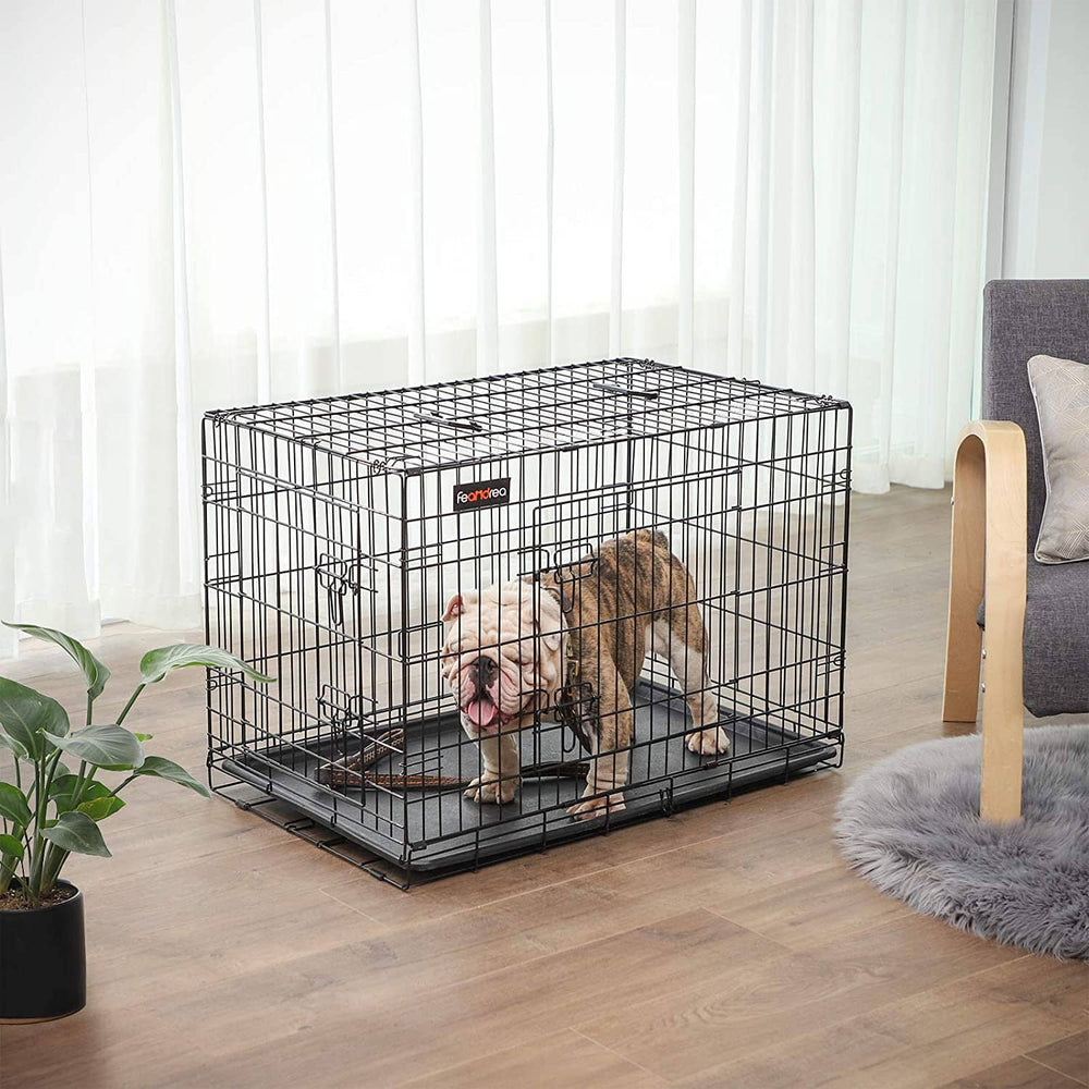 Lola transportbur